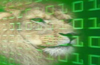 Empresa escreve app fiscal com plataforma GeneXus