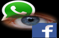 WhatsApp é o serviço que mais cresce na preferência do internauta